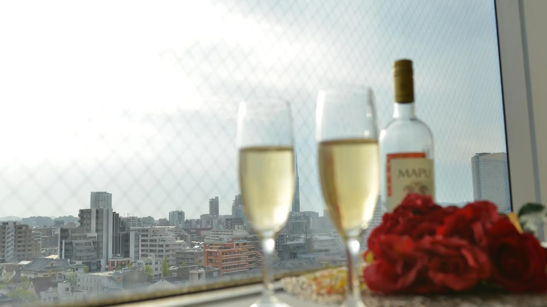 Hotel New Gaea Domemae Fukuoka