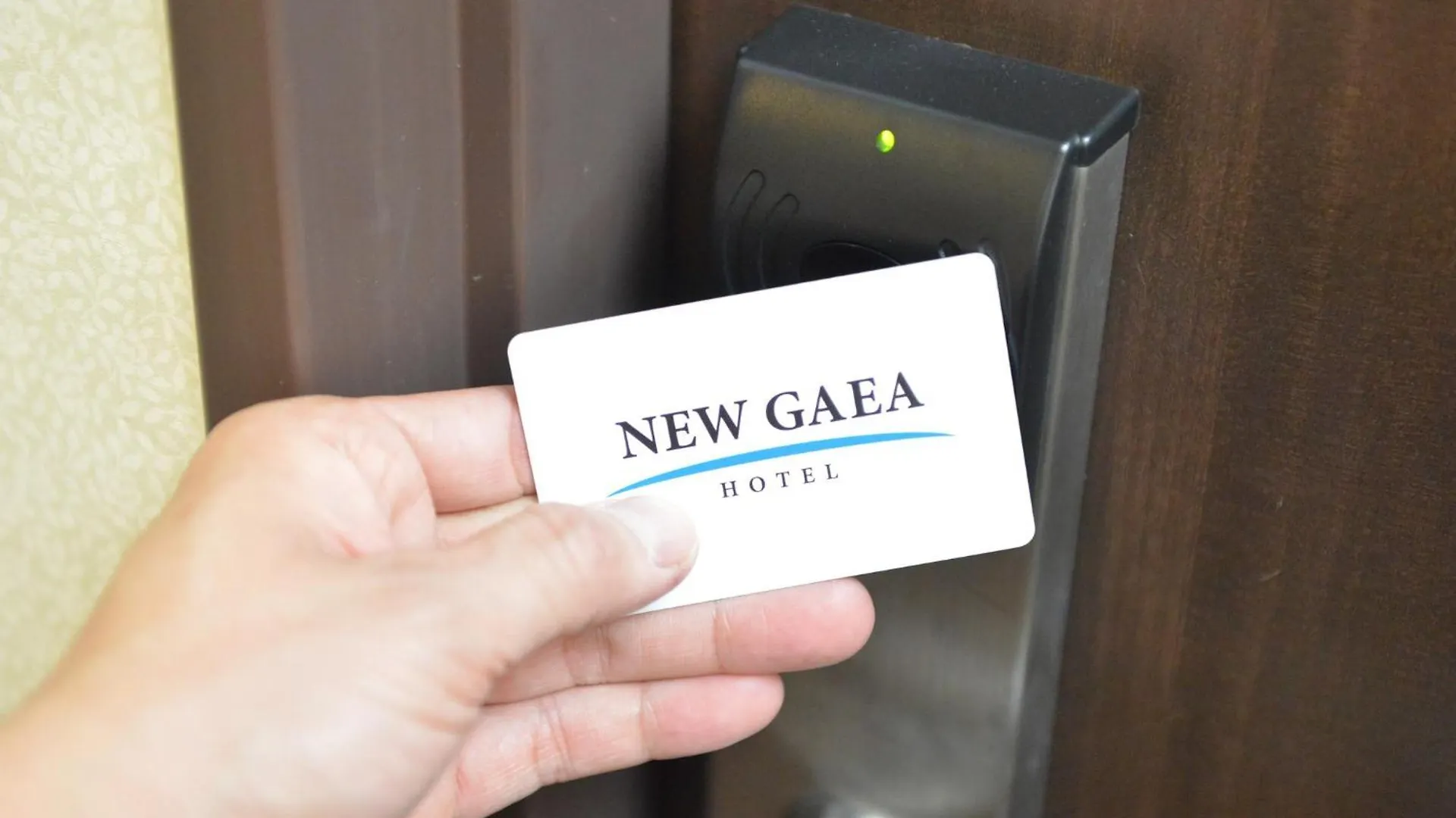 Hotel New Gaea Domemae Fukuoka  Fukuoka (Fukuoka)