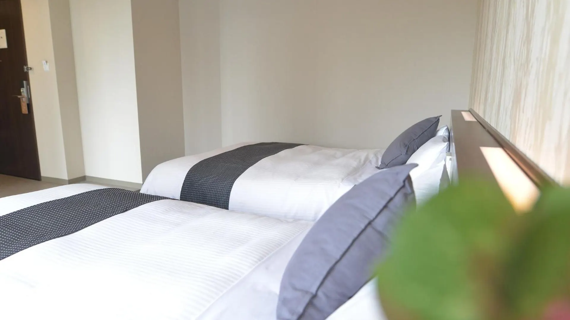 Hotel New Gaea Domemae Fukuoka